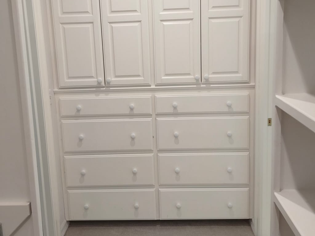 Closet storage before remodel