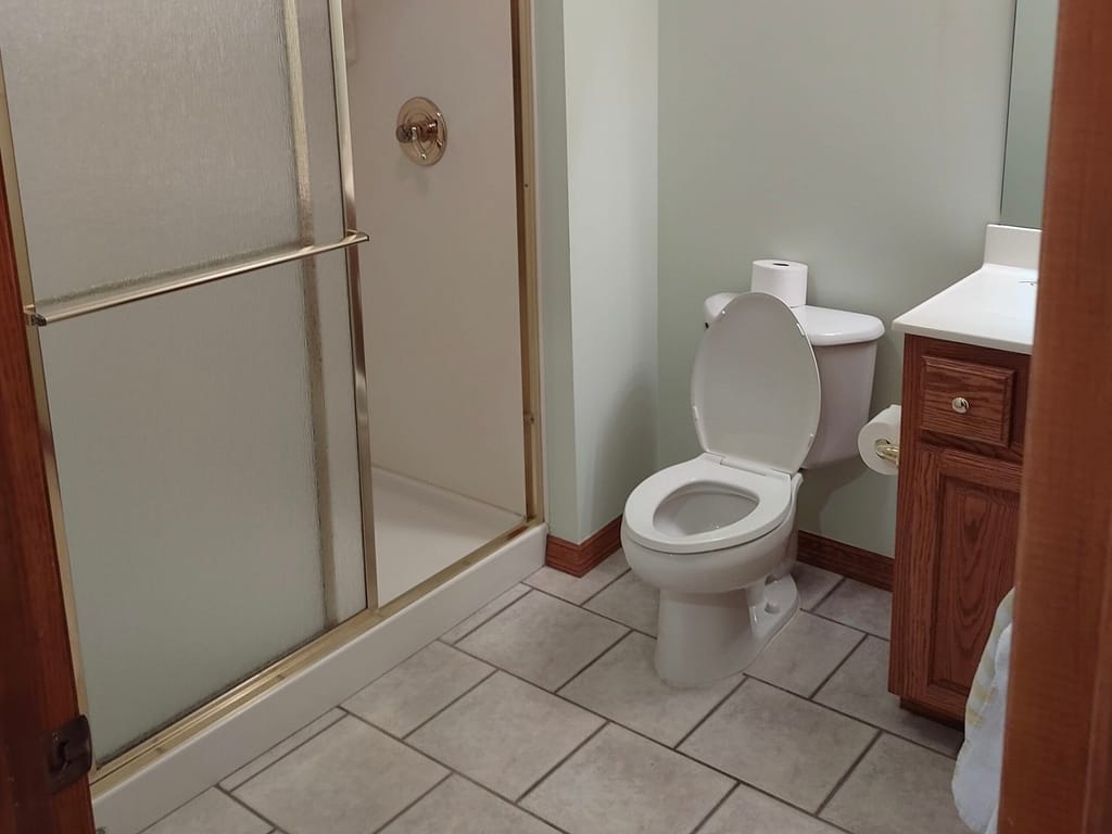 Bathroom with gold trimmed shower before remodel